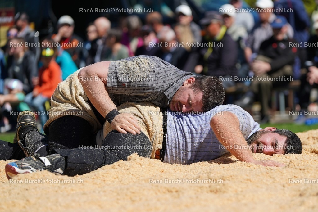 20220418-DSC07035 | René Burch leidenschaftlicher Fotograf aus Kerns in Obwalden.  Hier finden sie Sport, Landschaft und Natur Fotografie.
 - Realisiert mit Pictrs.com