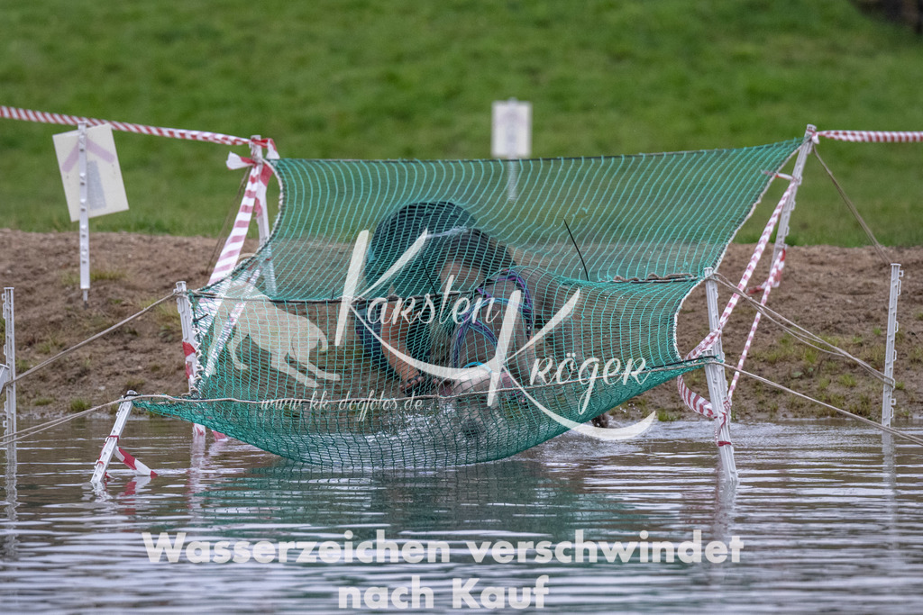 0824_ZZ91145 | kk-dogfotos