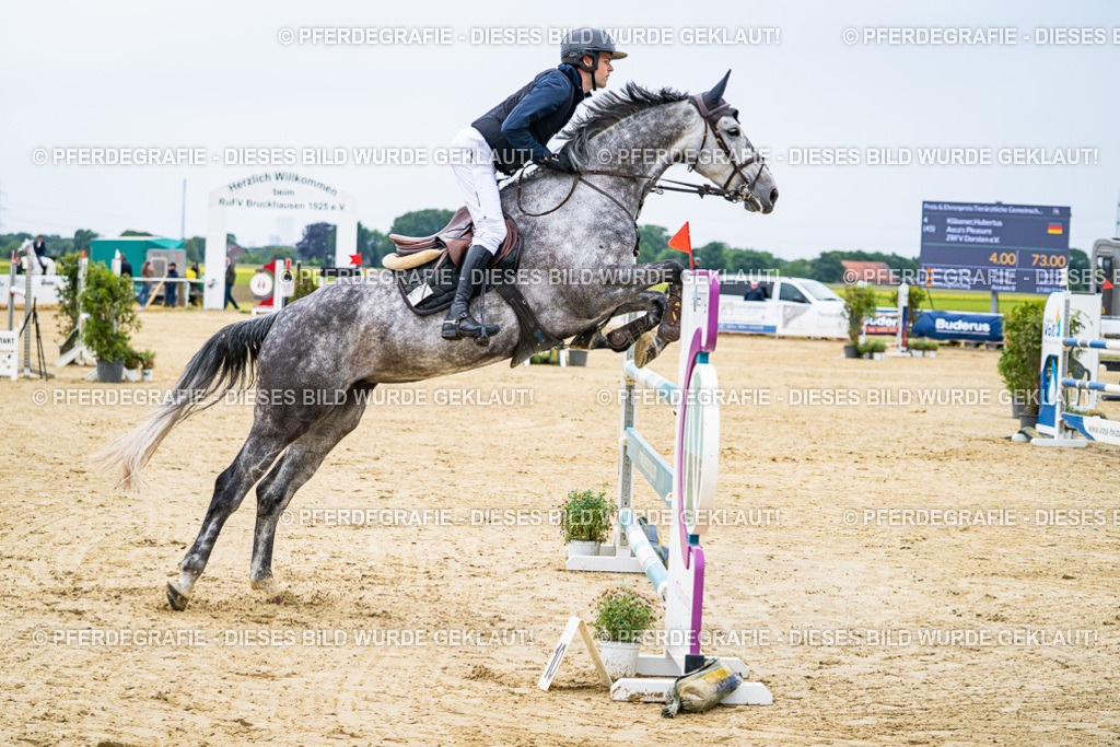 DSC06676 | Pferdegrafie