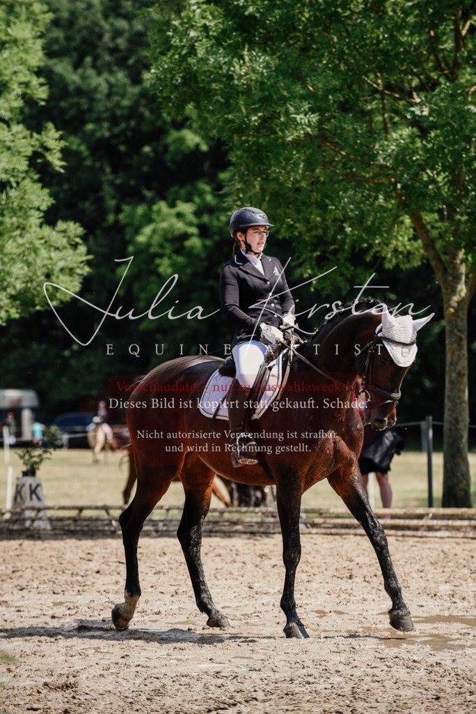 DSC_1032 | Pferde- und Turnierfotografie in Westsachsen. Pferdeportraits, Auftragszeichnungen und intuitive Kunst.