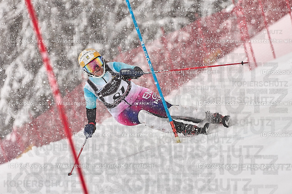 _ALP9081_MASTERS-WM_Reiteralm_CD_SL-I_FREY Tina | FISWORLD CHAMPIONSHIPSMASTERS ALPINE SKIING, 23. – 28. MÄRZ 2026 - REITERALM | STMK | AUT.   Veranstaltet vom Masters-Referat des Deutschen Skiverbandes (DSV). Durchführende Organisation: WSV Pichl-Reiteralm, unterstütutzt von den Bergbahnen REITERALM bei Schladming und SKI AUSTRIA.                            Disziplinen:  Super-G, GiantSlalom, Slalom.                                                 Kategorien:  A (Herrn 30-59 Jahre), B (Herrn ab 60 Jahre), C (Damen 30-59 Jahre), D (Damen ab 60 Jahre).                Rennstrecken:   Gasselhöhe und Muldenliftpiste auf der Reiteralm.