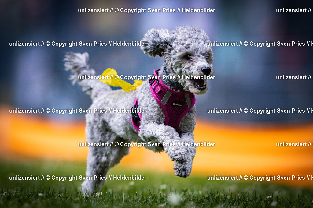 Sven Pries | 2025-05-29 - Pudelrennen KA-Durlach - Realisiert mit Pictrs.com