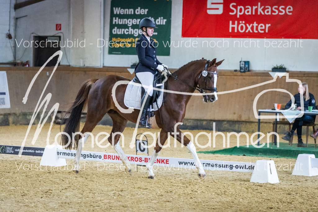 Sth-WBO25-EDr-061 | MomenTaufnahmen Pferdesportfotos