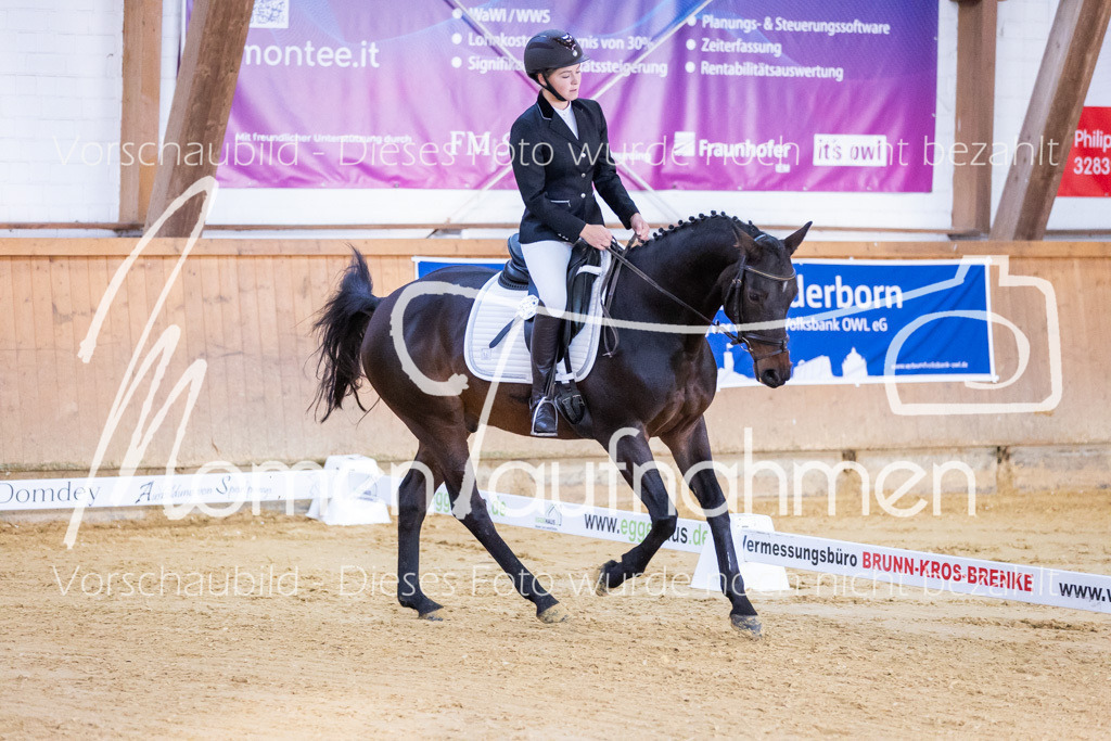 Sth-A-Dre-1St-019 | MomenTaufnahmen Pferdesportfotos