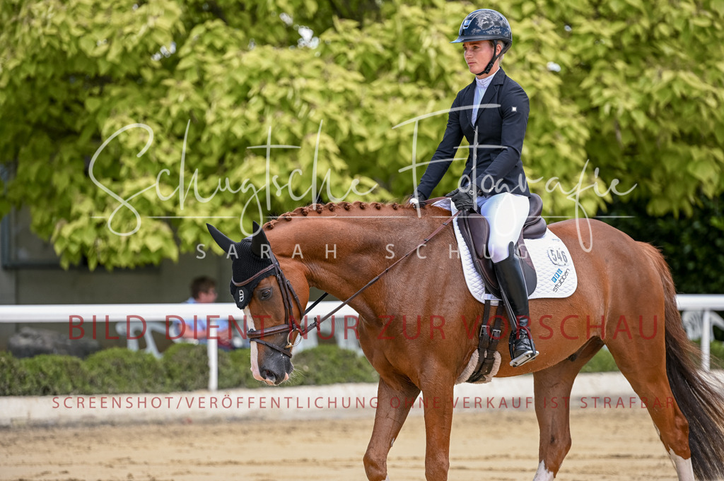 Schugtsche-Aluta25-48.Reitpferfdeprf.-172 | Schugtsche Fotografie - Realisiert mit Pictrs.com