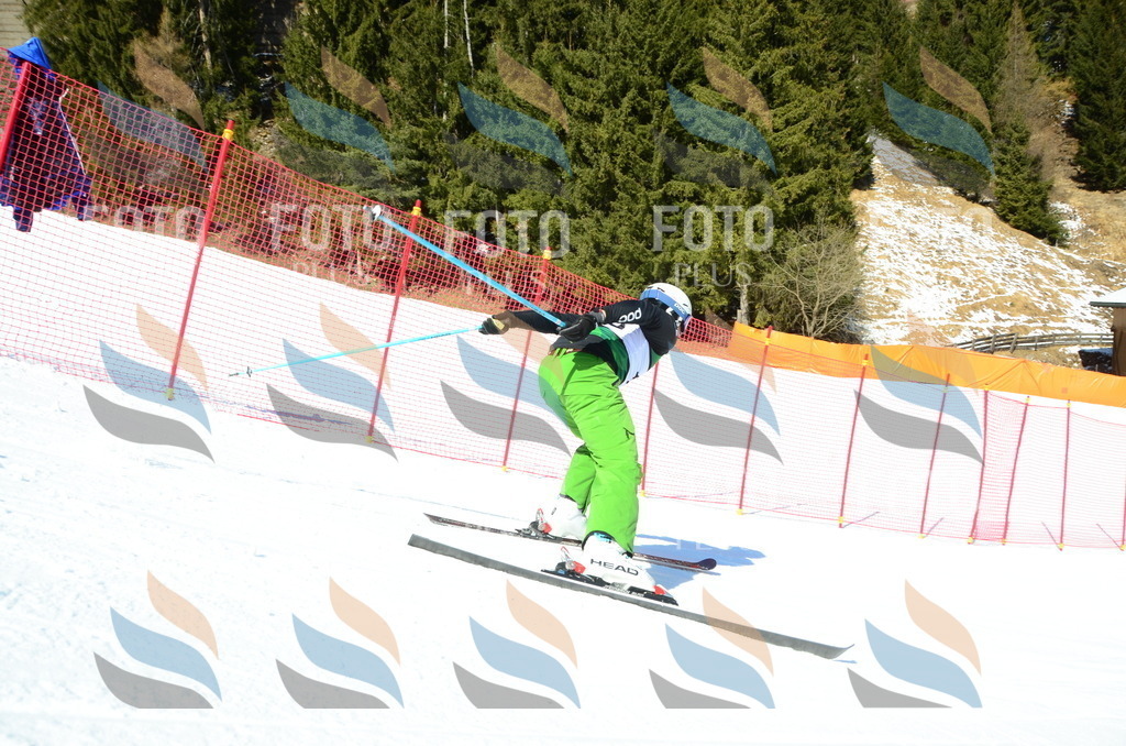 C6596 | holidayphoto