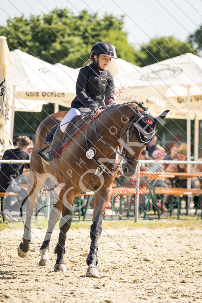 IMG_2934 | Sport-, Event- und Tierfotos in Profiqualität. Einfach auswählen, bestellen und herunterladen. Dein Moment – perfekt festgehalten.