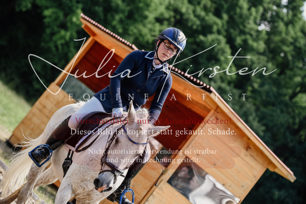 DSC_1816 | Pferde- und Turnierfotografie in Westsachsen. Pferdeportraits, Auftragszeichnungen und intuitive Kunst.