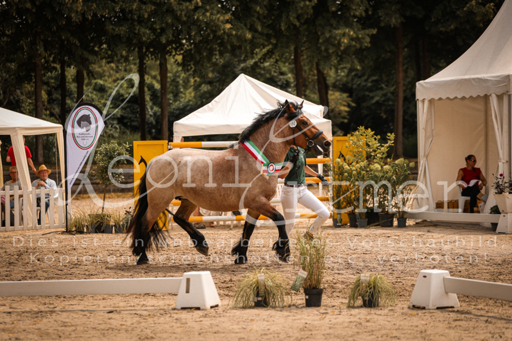 SaSieger00075 | Leoni Ertmer Photography - Realisiert mit Pictrs.com