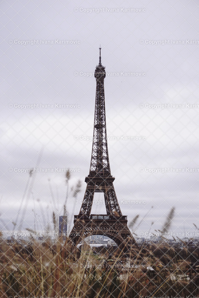 DSC02578 | ikphotography - Realisiert mit Pictrs.com