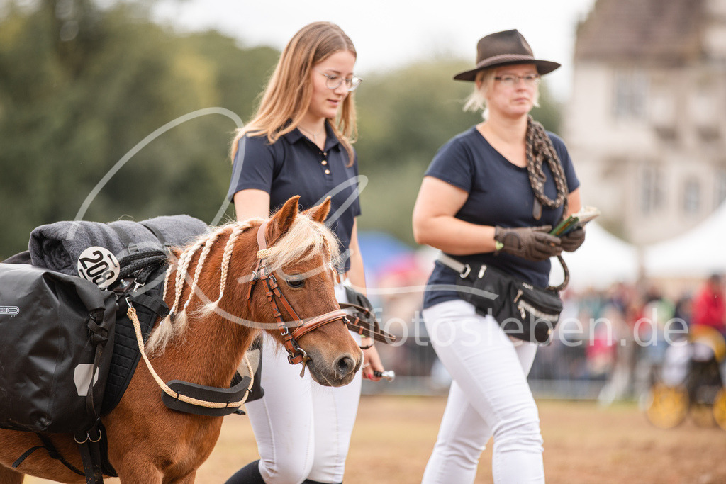 846A3744 | fotosleben - Realized with Pictrs.com