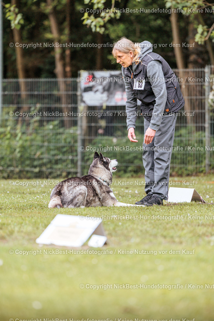 RO-Blumenthal-2026-Nickbest-Hundefotografie-1292 | Dein Hund! Dein Moment! Deine Erinnerungen! Hundefotografie in Bremen Blumenthal. Ich fange die besonderen Momente deines Vierbeiners ein – ob Indoor mit Blitzanlage oder in der freien Natur. Sicher dir dein Moment und dein Termin für eure Erinnerungen.
