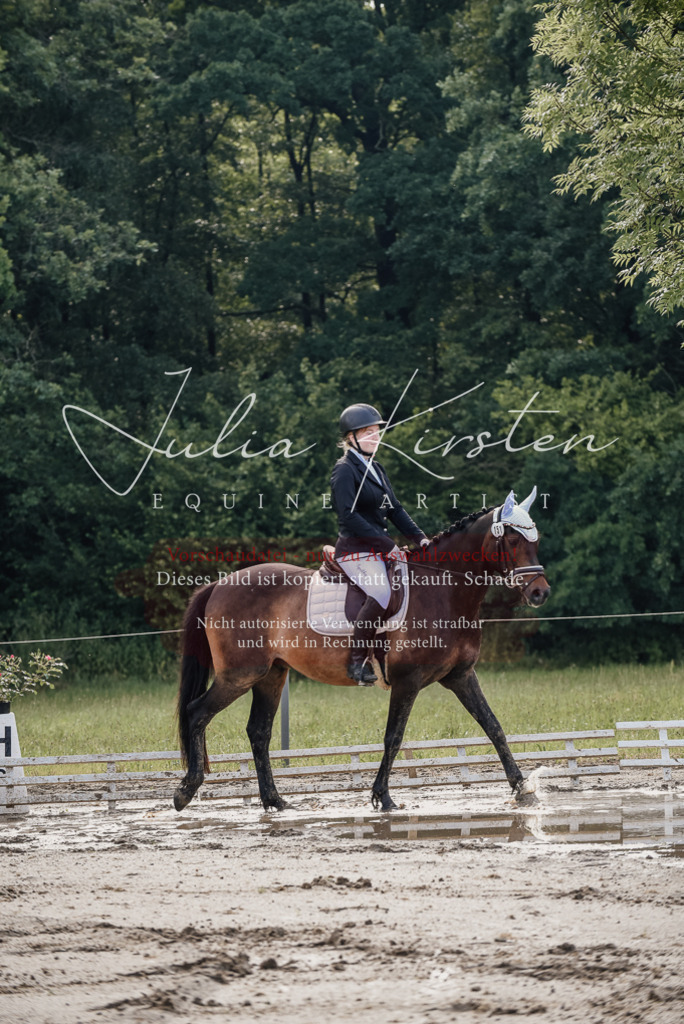 DSC_8108 | Pferde- und Turnierfotografie in Westsachsen. Pferdeportraits, Auftragszeichnungen und intuitive Kunst.