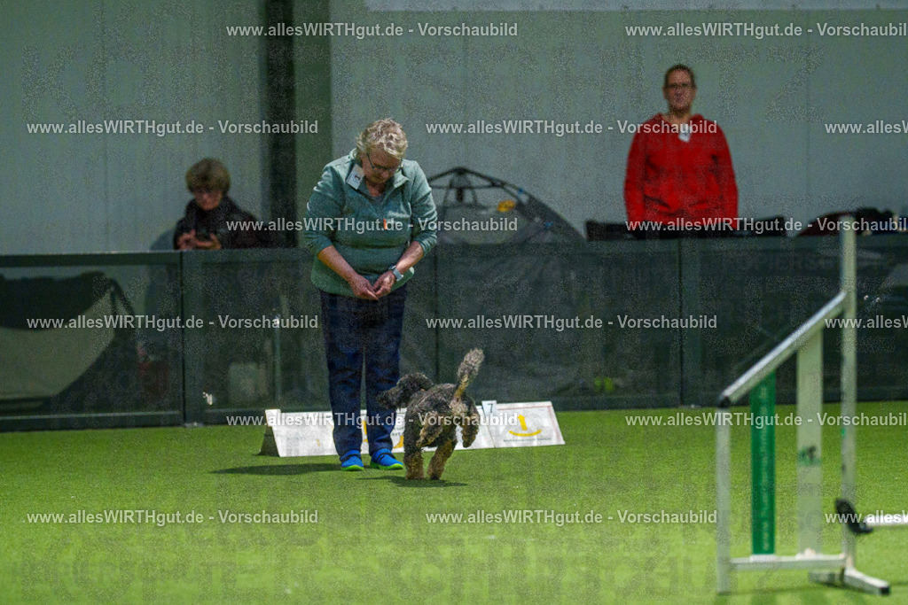 7R504026 | Professionelle Tierfotografie in Mönchengladbach von Daniel Wirth (allesWIRTHgut). Liebevolle & natürliche Bilder von Hunden & Katzen für unvergessliche Erinnerungen.