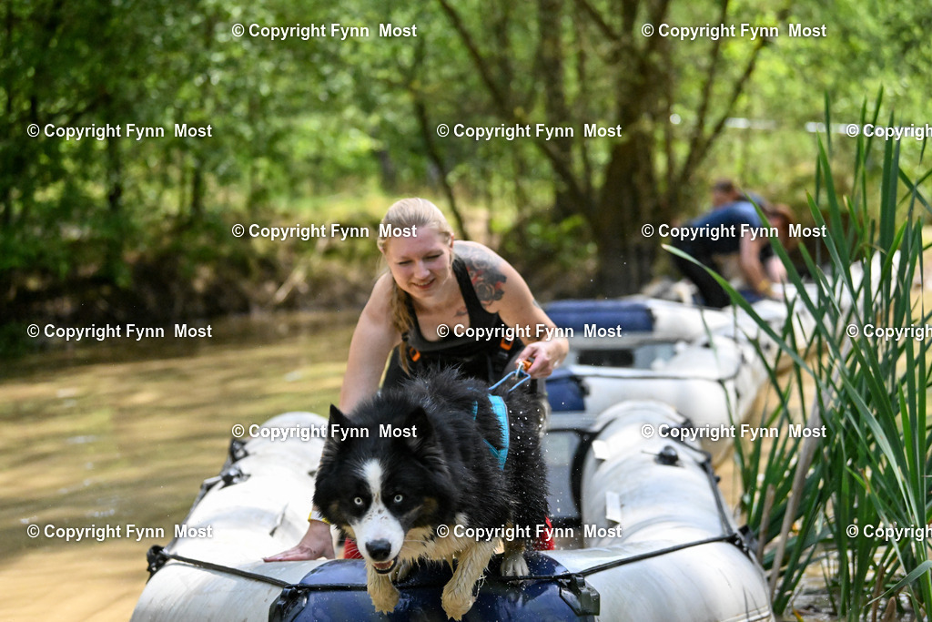 DSC_5742 | Hallo und herzlich Willkommen auf meiner Shop-Seite Fynn Most.

Ich wünsche Dir viel Spaß beim stöbern durch die Bilder, wenn Du Fragen hast oder Bilder vermisst, kannst du mir gerne eine Nachricht schreiben. - Realisiert mit Pictrs.com