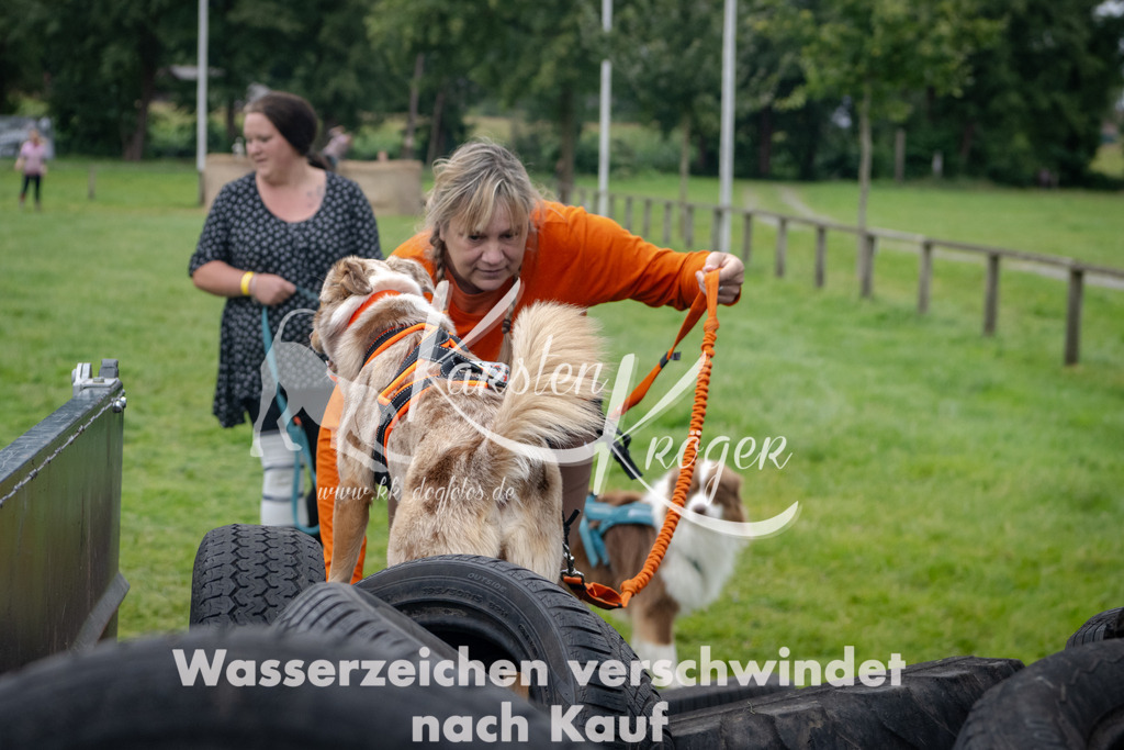 1300_ZZ92877 | kk-dogfotos