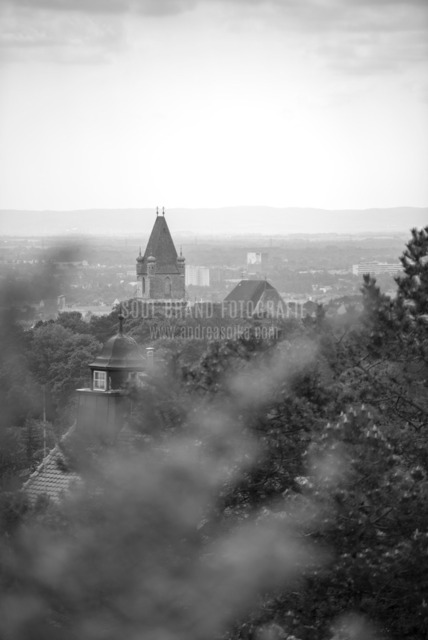 DSC_2393 | andreasojkafotografie - Realisiert mit Pictrs.com