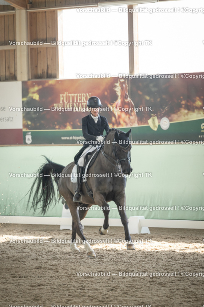 _D5A2182 | Emotionale Pferde- & People-Fotografie rund um Heidelberg, Leimen & Umgebung. Natürliche Fotos von Pferd, Mensch & Familie. Jetzt Termin sichern!