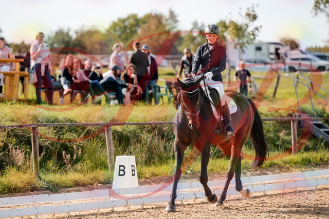 2026_10_03_Siefer-Hof_133644_Z63_97863977 | Professionelle Reitsport-, Turnier- und Eventfotografie von Robert Broda. Galerien mit ausgewählten und bearbeiteten Bildern direkt online ansehen und bestellen.