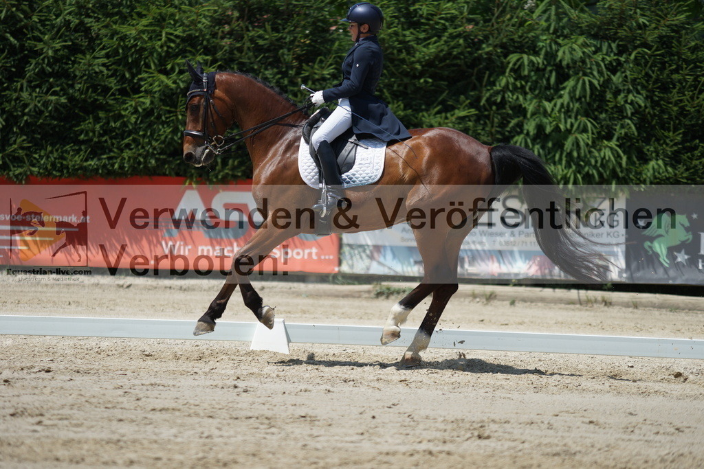 DSC05097 | equestrian-live-com
