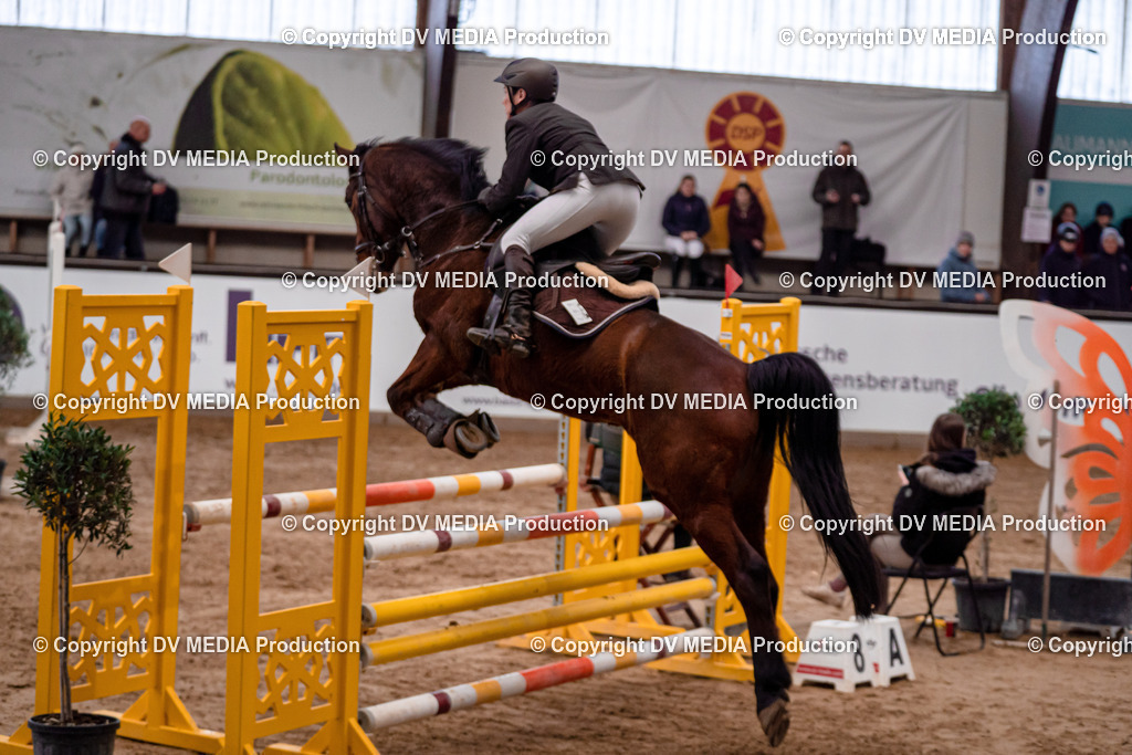 Kranichstein Tag 3-256 | dv-media-shop - Realisiert mit Pictrs.com