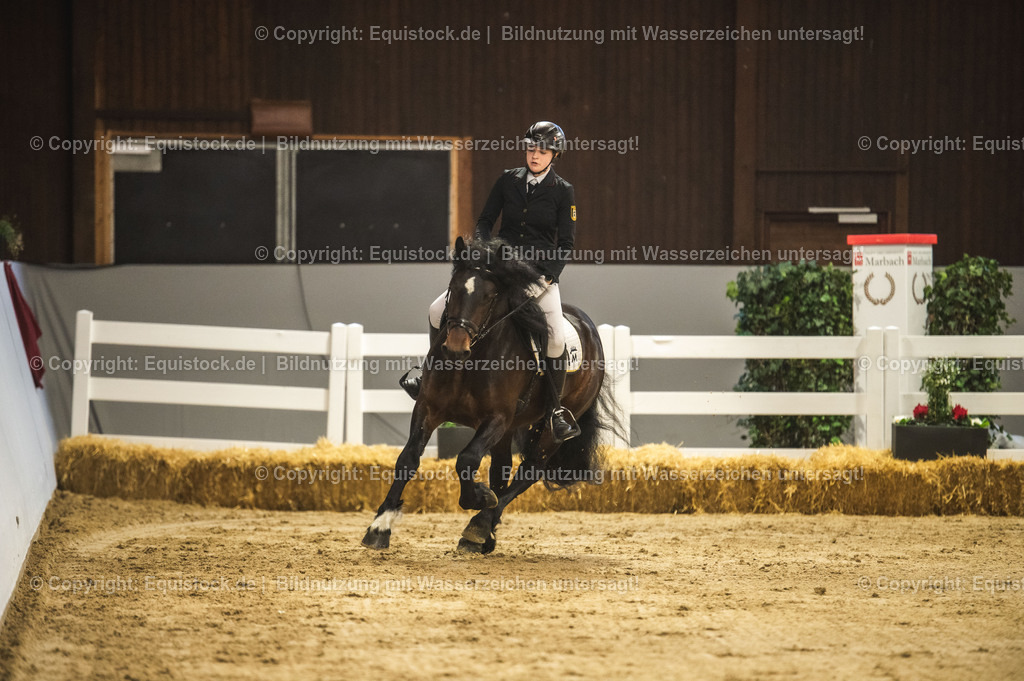 20240302_Hengstvorstellung_Marbach_TOMsPiC_0297 | equistock