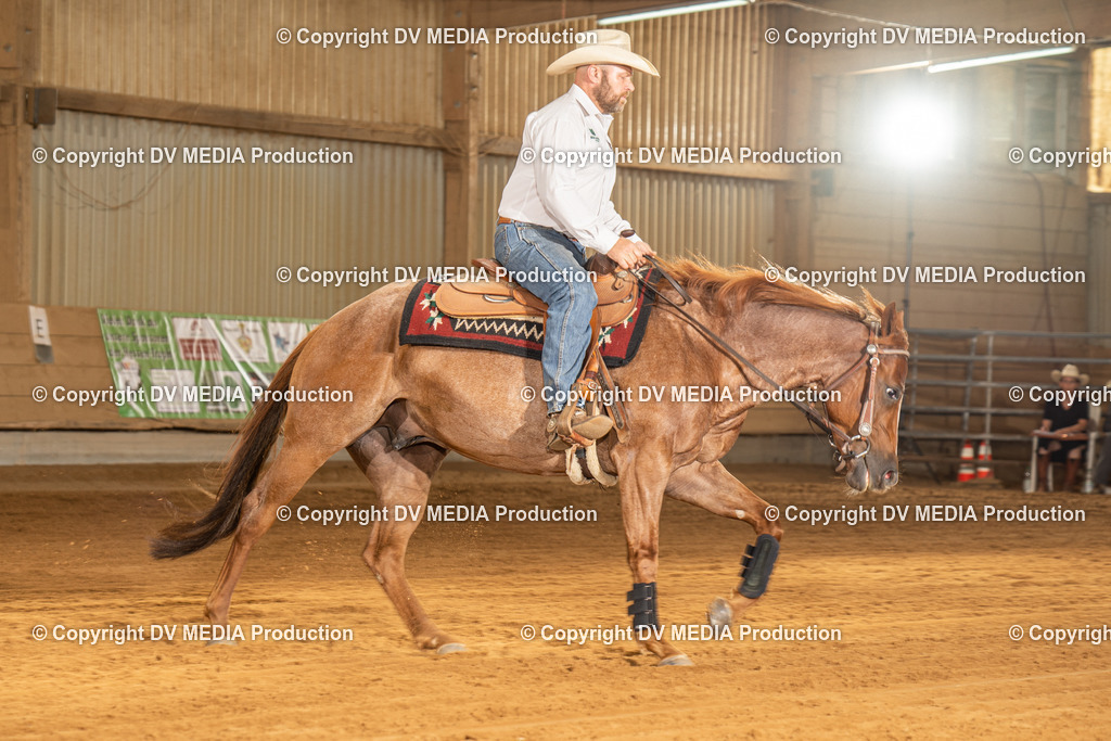 NID01806 | dv-media-shop - Realisiert mit Pictrs.com