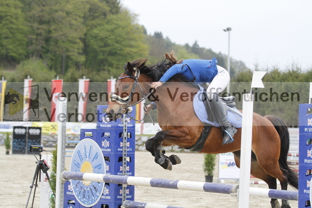 _MG_1624 | equestrian-live-com