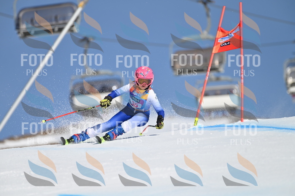 BGV_8236 | holidayphoto