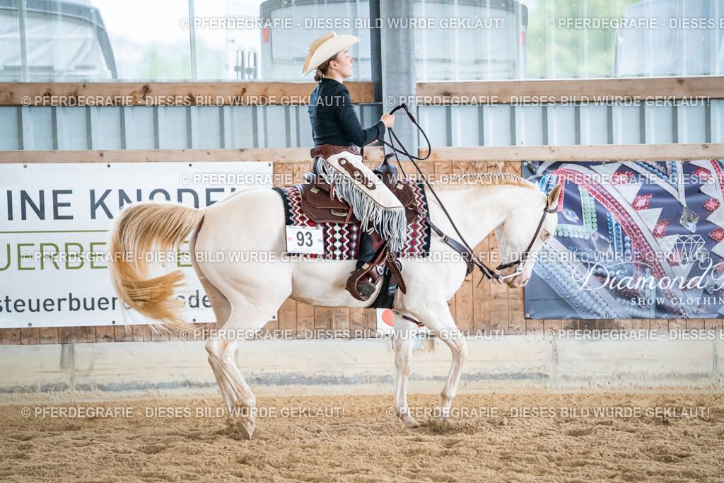 DSC02935 | Pferdegrafie