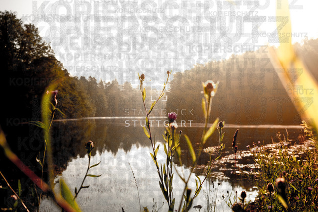 DSCF3943 | "Entdecken Sie atemberaubende Bilder von Stuttgart im Fotowerk Stuttgart! Kaufen Sie hochwertige Fotos auf Leinwand oder laden Sie digitale Downloads für Ihre Wohnung oder Büros herunter.  - Realisiert mit Pictrs.com