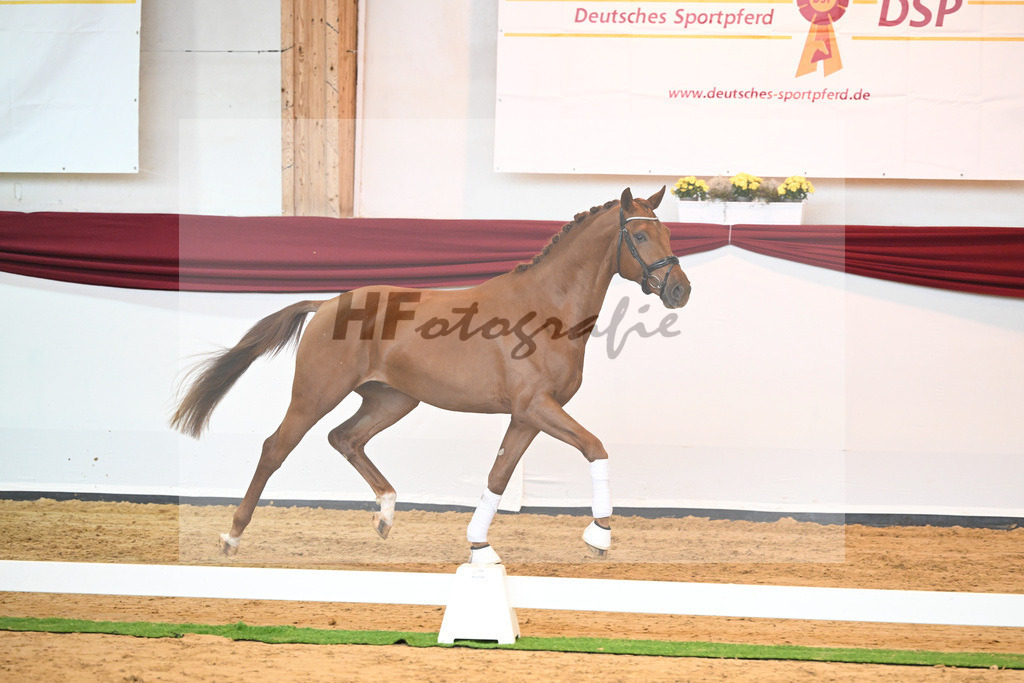 Kat-Nr. 28 v. Erdinger_Schuhmacher_66220793 | hf-fotografie - Realisiert mit Pictrs.com
