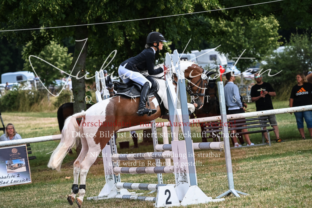 DSC_8543 | Pferde- und Turnierfotografie in Westsachsen. Pferdeportraits, Auftragszeichnungen und intuitive Kunst.