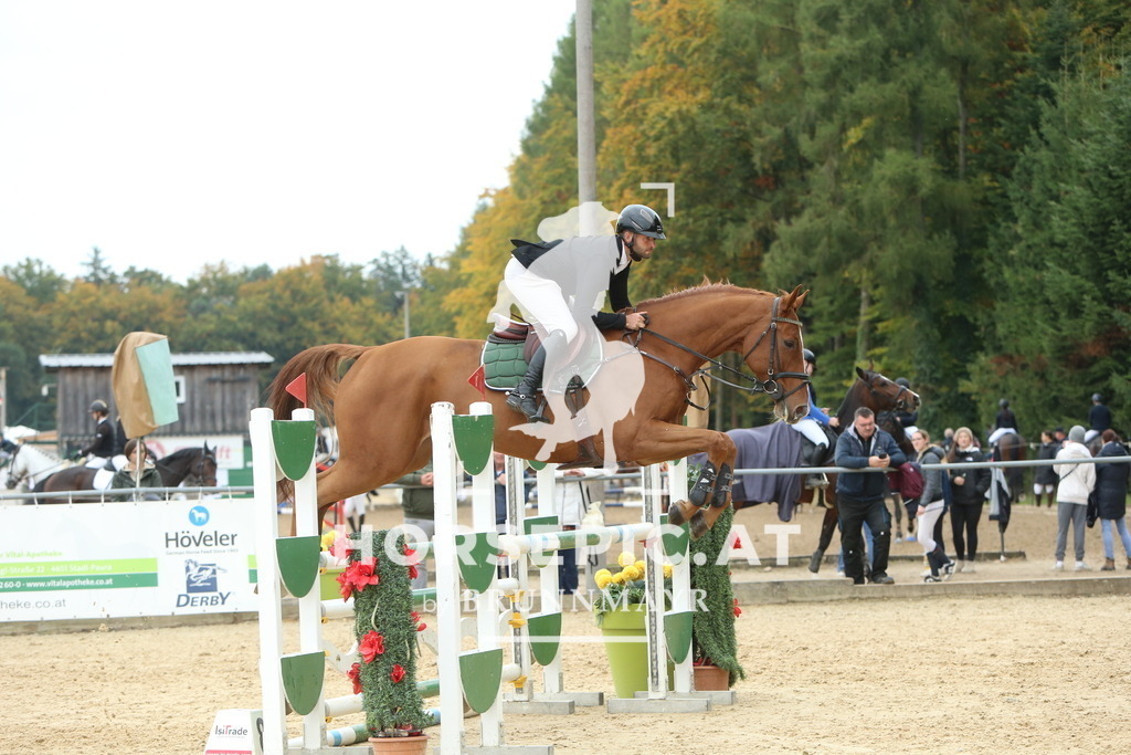 DL2Q6801 | Willkommen bei Brunnmayr - Design & Fotografie – Ihrem Spezialisten für Reitturniere und Pferdeveranstaltungen in Oberösterreich, Salzburg und Bayern! Seit über 17 Jahren sind wir leidenschaftlich dabei.