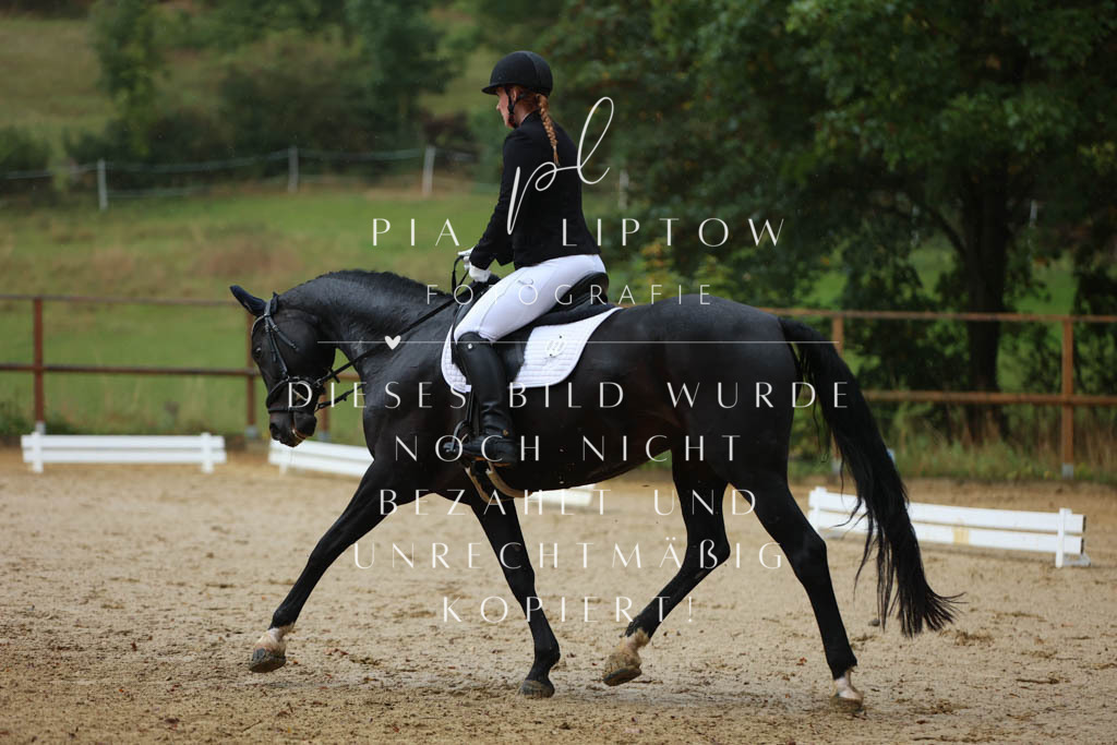 IMGM9062 | pl-fotografie