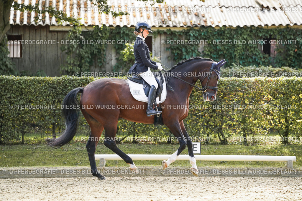 DSC08905 | Pferdegrafie