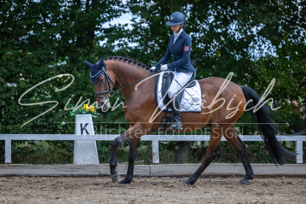 20260905-_3LI8078 | Tierfotografie Pferde, Hunde, Katzen, Haustiere.
Turnierfotografie Reitturniere, Reiten, Springreiten, Dressur in Hanau, dem Main-Kinzig-Kreis und dem Rhein-Main- Gebiet um Frankfurt