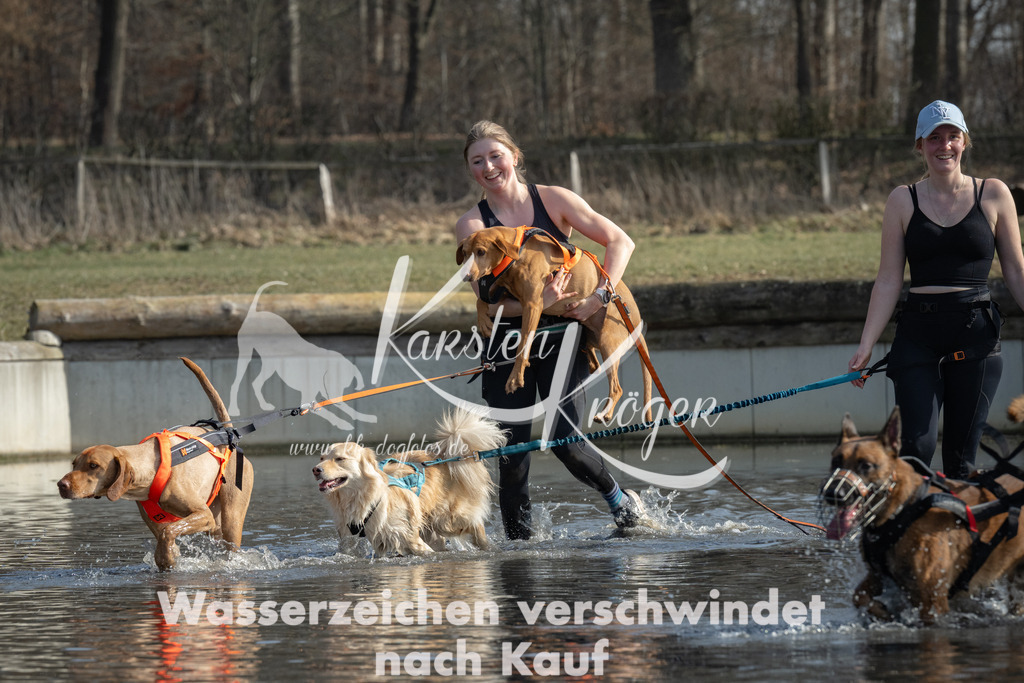 1305_ZZ94601 | kk-dogfotos