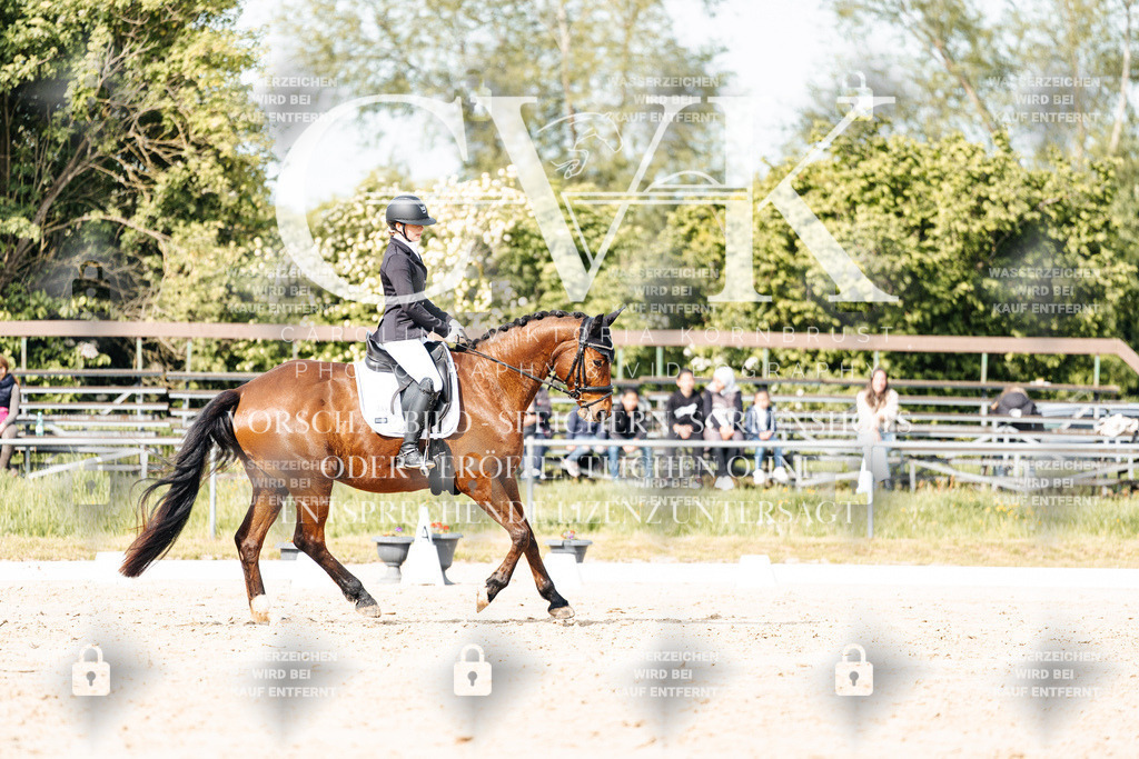 CK900398 | Turnierfotografie Pferdefotografie Trier Rheinland-Pfalz Pferdesport Reitsport Tierfotografie Sportfotografie Pferdevideo Pferdevideografie Equestrianvideography equestrianphotography  - Realisiert mit Pictrs.com
