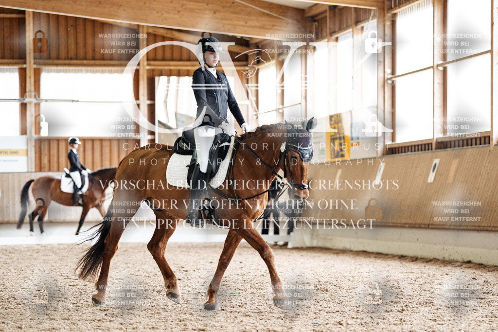 CK900578 | Turnierfotografie Pferdefotografie Trier Rheinland-Pfalz Pferdesport Reitsport Tierfotografie Sportfotografie Pferdevideo Pferdevideografie Equestrianvideography equestrianphotography  - Realisiert mit Pictrs.com