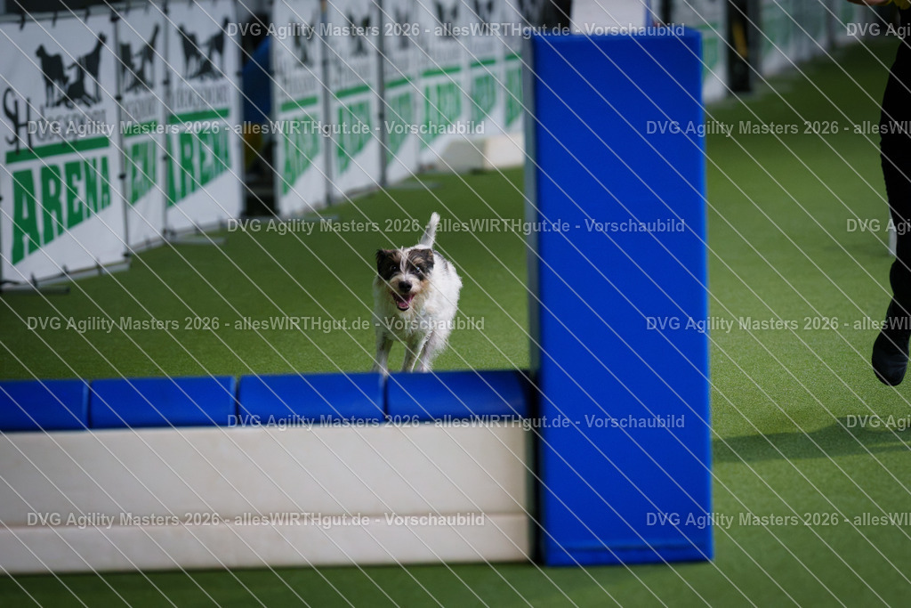allesWIRTHgut_Tierfotografie-DVG_Agility_Masters_2026-11_32-7R506365 | Professionelle Tierfotografie in Mönchengladbach von Daniel Wirth (allesWIRTHgut). Liebevolle & natürliche Bilder von Hunden & Katzen für unvergessliche Erinnerungen.
