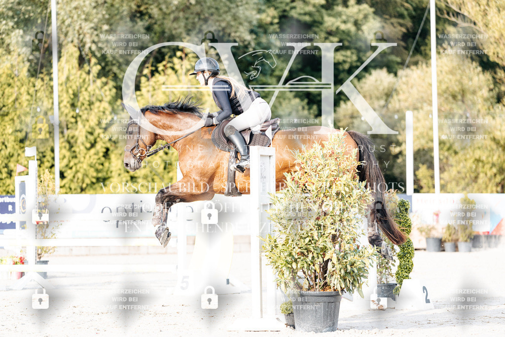 CK903258 | Turnierfotografie Pferdefotografie Trier Rheinland-Pfalz Pferdesport Reitsport Tierfotografie Sportfotografie Pferdevideo Pferdevideografie Equestrianvideography equestrianphotography  - Realisiert mit Pictrs.com