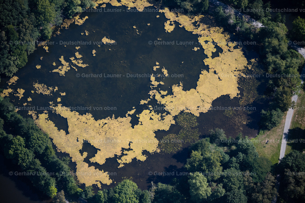 4035410 | BRAUNSCHWEIG 31.07.2020 Tümpel- Wasserfläche und Teich- Oase "Spielmannsteich" entlang des Flussverlaufs der Oker in Braunschweig im Bundesland Niedersachsen, Deutschland. // Pond water surface and pond oasis "Spielmannsteich" along the course of the Oker in Brunswick in the state Lower Saxony, Germany. Foto: Gerhard Launer