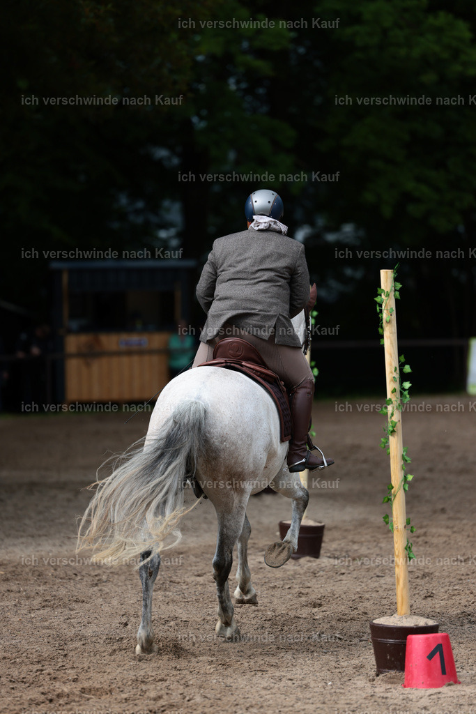 KlasseL_Stoibphotography_CAM23940.JPG | working equitationturnier fotograf videograf stoibphotography marixx film working equitation deutschland reitsport turnierfotografie eventfotografie equestrian events
