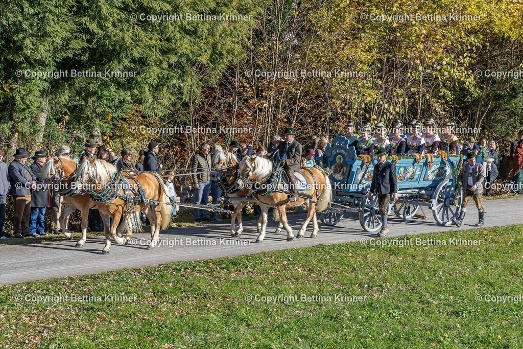 LBT25-374 | foto-bettina-krinner - Realisiert mit Pictrs.com