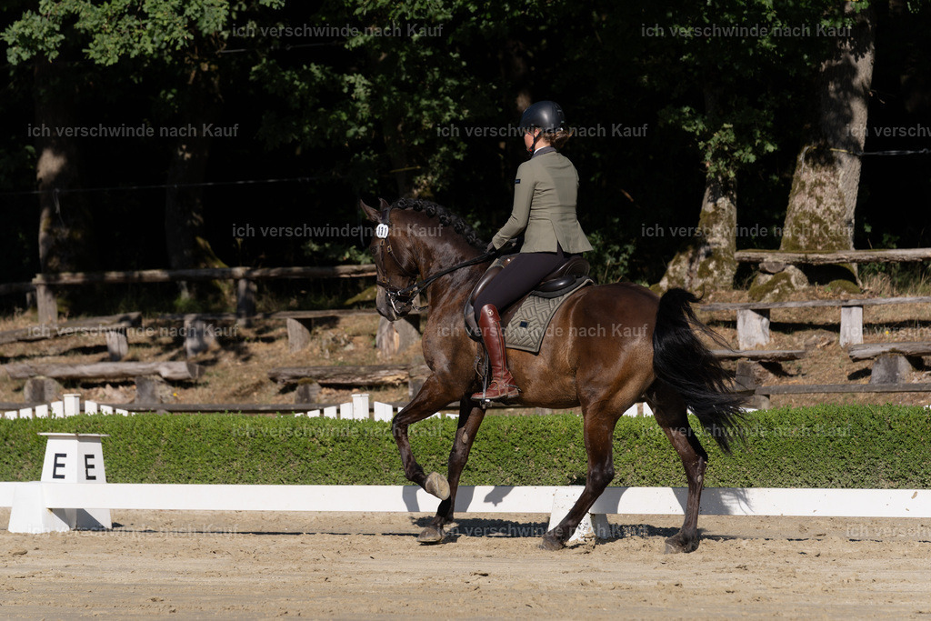 WM_DR_131_sinafilmart_IN04416 | working equitationturnier fotograf videograf stoibphotography marixx film working equitation deutschland reitsport turnierfotografie eventfotografie equestrian events