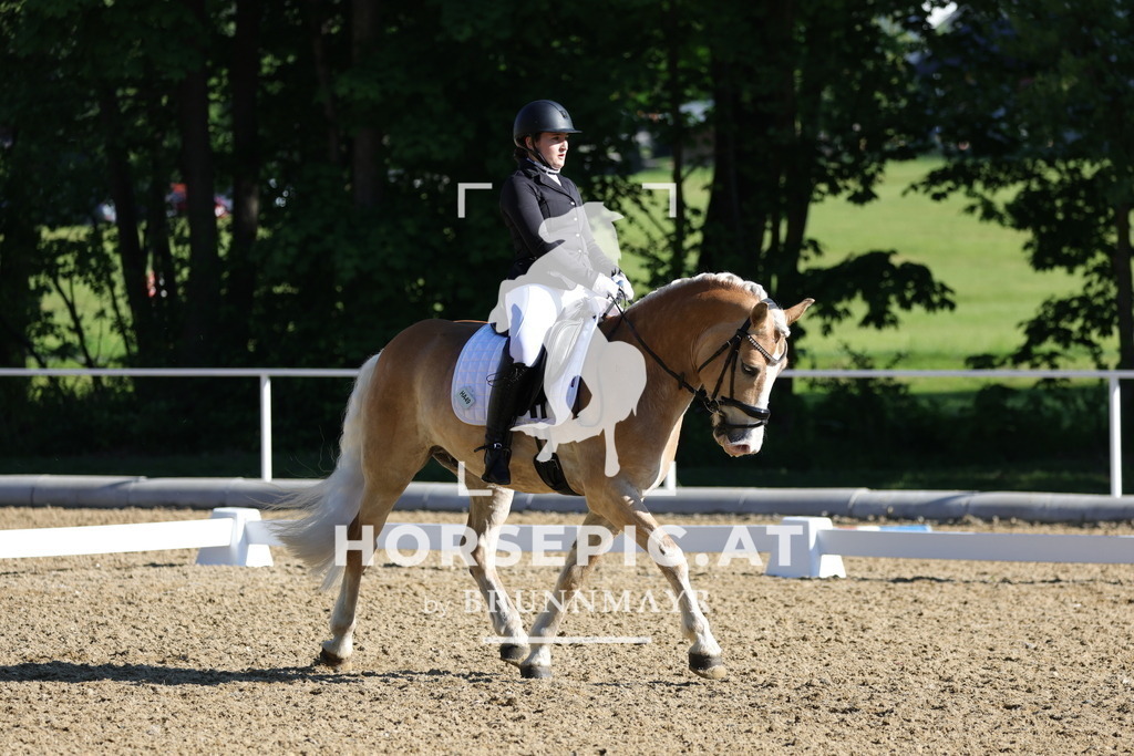 0P6A9341 | Willkommen bei Brunnmayr - Design & Fotografie – Ihrem Spezialisten für Reitturniere und Pferdeveranstaltungen in Oberösterreich, Salzburg und Bayern! Seit über 17 Jahren sind wir leidenschaftlich dabei.