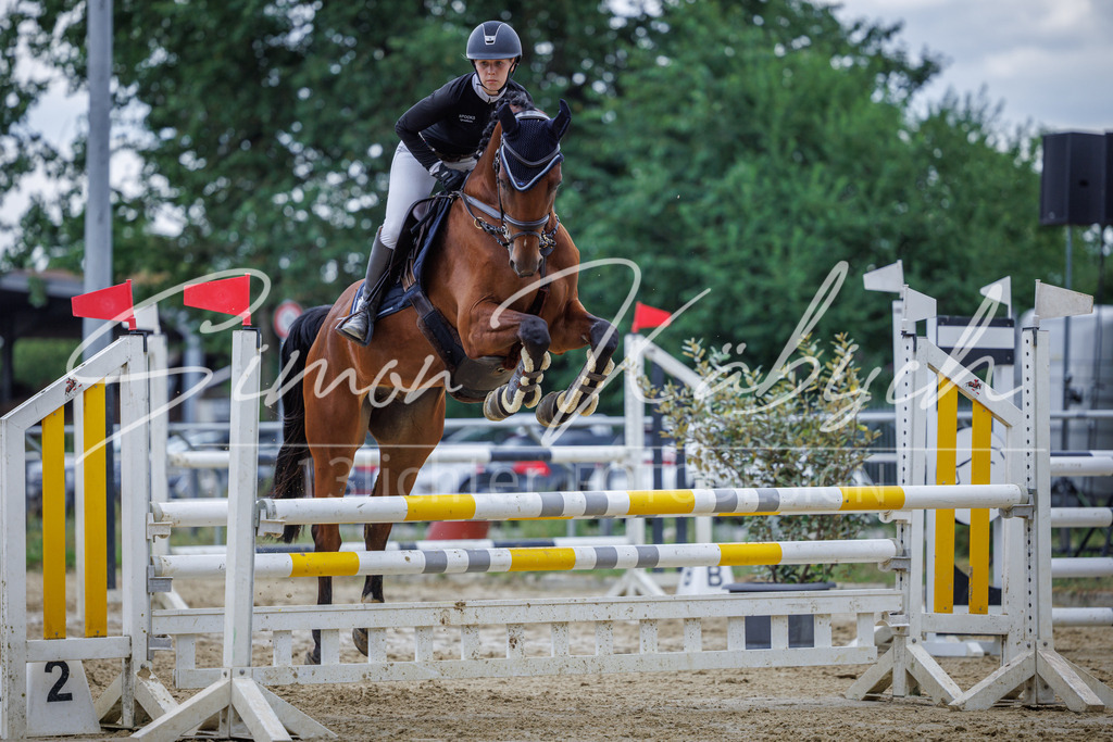 20260705-_3LI6286 | Tierfotografie Pferde, Hunde, Katzen, Haustiere.
Turnierfotografie Reitturniere, Reiten, Springreiten, Dressur in Hanau, dem Main-Kinzig-Kreis und dem Rhein-Main- Gebiet um Frankfurt