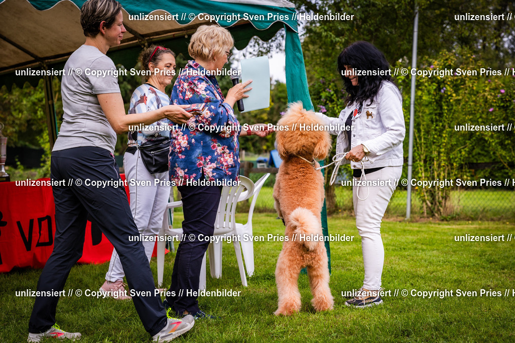 Sven Pries | 2024-09-22 - Hunderennen Baden-BadenPudelverein - Realisiert mit Pictrs.com