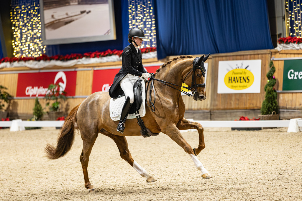 126A3929 | jasminmetznerfotografie